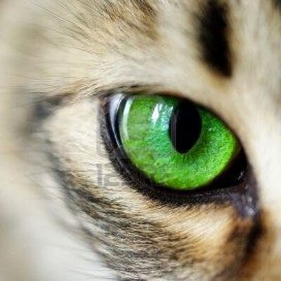 Kurt Ryder 07 - Twitter Profile Picture of Kurt Ryder 07 (@KurtOfficiel) on Twitter