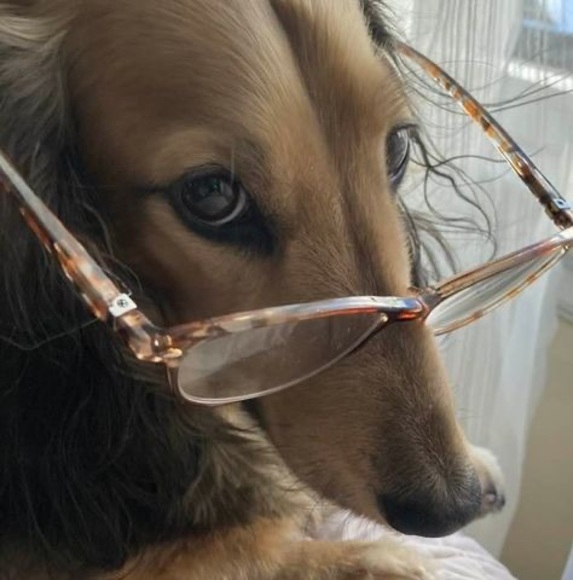 Profile Picture of Jeanna Pellino (@jeannapellino) on Poshmark