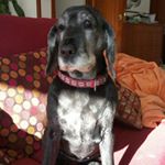 Profile Picture of Anaberta Diaz Armada (@anabertadiazarmada) on Instagram