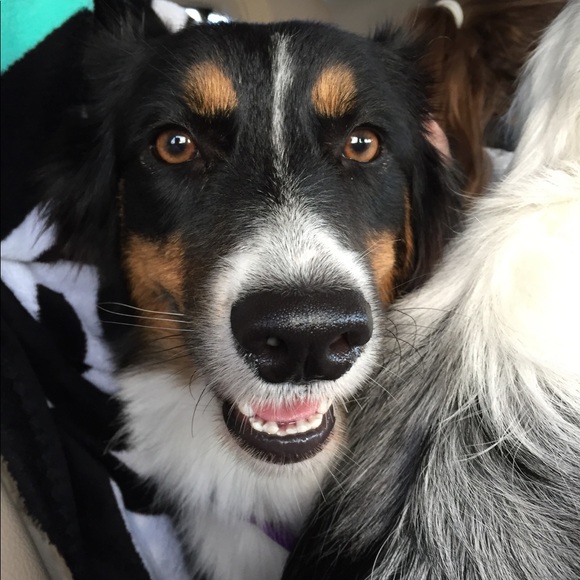 Profile Picture of Nicole Luchau (@nicoleluc) on Poshmark