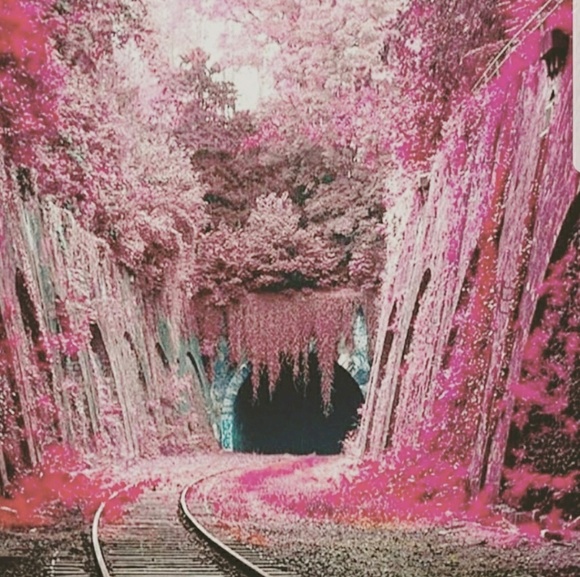 Profile Picture of Rease Habets (@reaseh) on Poshmark