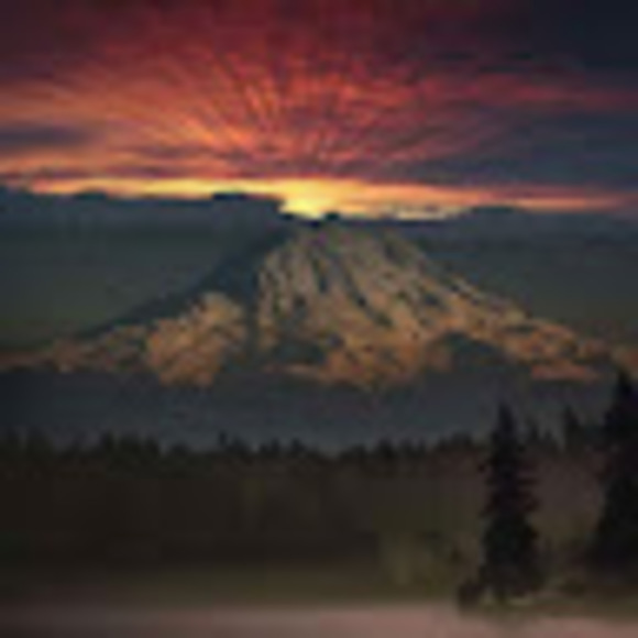 Profile Picture of Brandon Tanner (@brandontanner97) on Poshmark