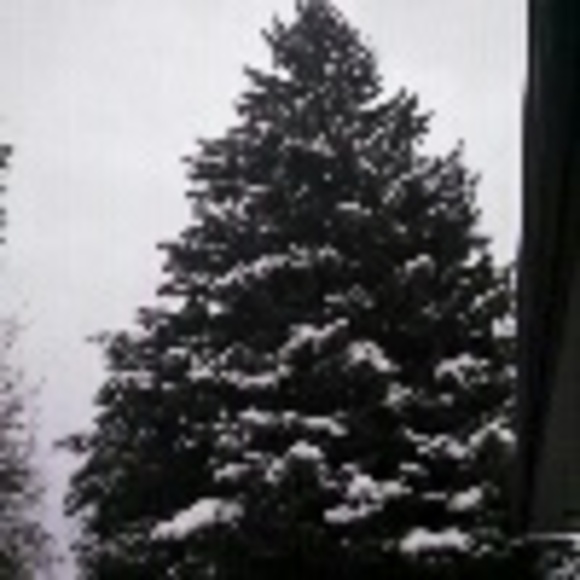 Profile Picture of Jill Verdon (@jmverd) on Poshmark