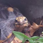 Profile Picture of Cathy Ohlwine (@cathyohlwine) on Instagram