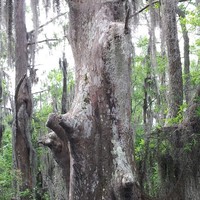 Joshua Cabello - Quora Profile Picture of Joshua Cabello (@joshua-cabello) on Quora