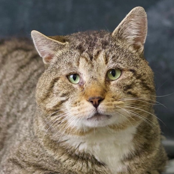 Profile Picture of Iris Lyons (@iris_lyons) on Poshmark