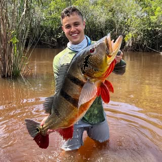 Profile Picture of Kevin Takita (@kevin_takita) on Instagram