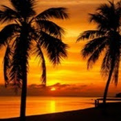 Profile Picture of Zoltan Takacs (@takzoli79) on Youtube