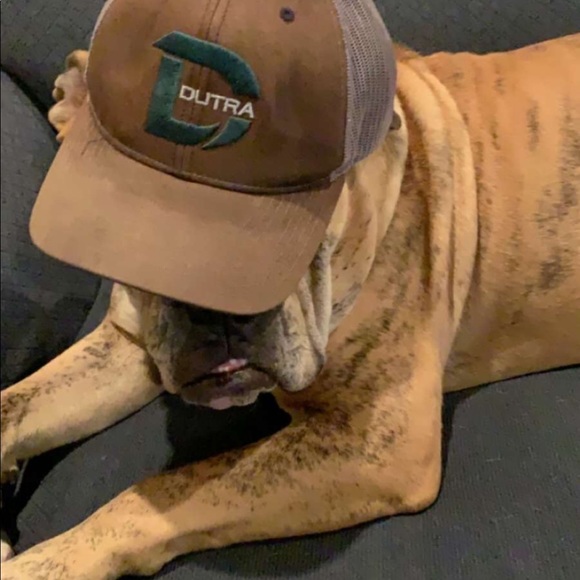 Gerrit Mahling - Poshmark Profile Picture of Gerrit Mahling (@gerritmahling) on Poshmark