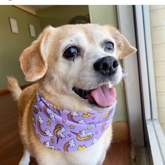 Profile Picture of Kim Smiley (@kimsmiley921) on Poshmark