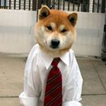 Profile Picture of Casey Robert Hood (@shober101) on Instagram