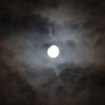 Profile Picture of Victor Willis (@victor102297) on Instagram