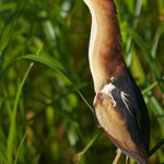 Leonard Atkinson - Instagram Profile Picture of Leonard Atkinson (@leonardatkinson) on Instagram