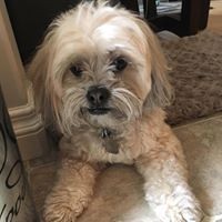 Profile Picture of Matthew Tress (@matthew-tress-1) on Quora