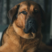 Profile Picture of Michael Corner (@mecorner) on Youtube