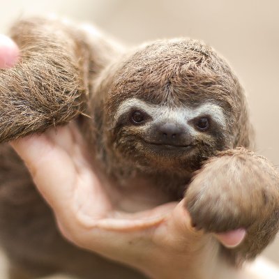 Profile Picture of Dawn Clapperton (@sunriseclap) on Twitter