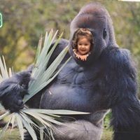 Profile Picture of Derek Torres (@derek-torres-11) on Quora