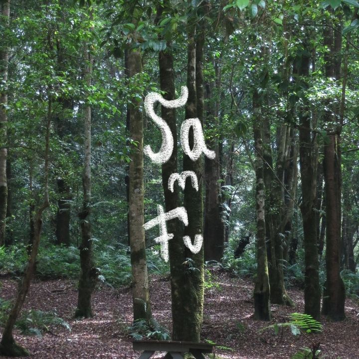 Profile Picture of Samfu Official (@sa.m.fu) on Tiktok