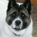 Profile Picture of Kim Boylan (@kim.boylan.9) on Facebook