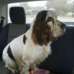 Profile Picture of Brad Vest (@vest.brad) on Instagram