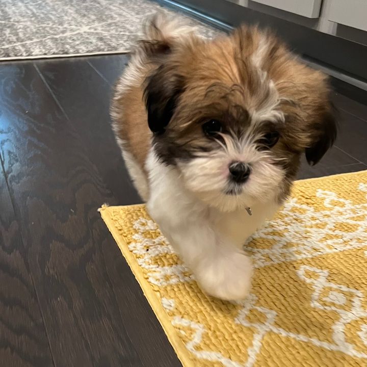 Profile Picture of Claudia McCarty (@claudia.mccarty) on Tiktok