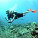 Profile Picture of Pat.K (@patkennelly1) on Instagram