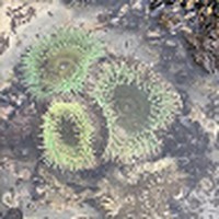 Profile Picture of David Westover (@david-westover-14) on Quora