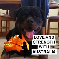 Profile Picture of Lisa Dobbs (@lisa-dobbs-24) on Quora