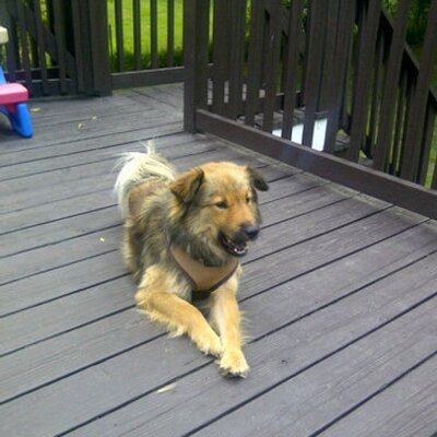 Profile Picture of Matt Symonds (@mcsymonds) on Twitter