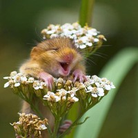 Profile Picture of Rena Jones (@rena-jones-30) on Quora