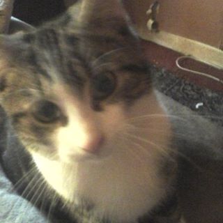 Profile Picture of Christine Haydock (@christine.haydock.73) on Facebook