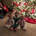 Profile Picture of Pamela Mcclain (@pamela.mcclain.7543) on Facebook