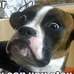 Profile Picture of Daniel (@dan_fortson) on Instagram