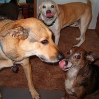 Profile Picture of Andrea Otto (@andrea-otto-2) on Quora