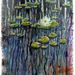 Profile Picture of colin lowndes (@elykiwi) on Pinterest