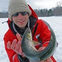 Profile Picture of Michael Verdirame (@michaelv1844) on Pinterest