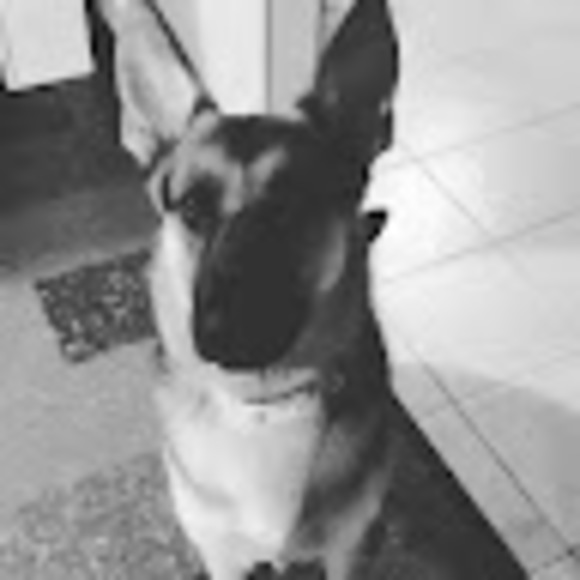 Profile Picture of Jake Mckinney (@jakemckinney223) on Poshmark