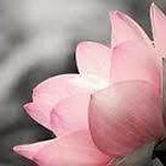 Profile Picture of Amanda Cooper (@cooper.ar87) on Flickr