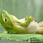 Profile Picture of Michael Beaubien (@mikepacificnw) on Instagram