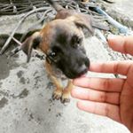 Profile Picture of Iqee Tugade (@tugadeiqee) on Instagram
