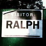 Profile Picture of Visitor Ralph (@monk_thinks_hes_cool) on Instagram