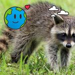 Profile Picture of Pamela Carroll (@missionlovej316) on Instagram