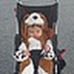 Profile Picture of April Bradshaw (@april_bradshaw) on Flickr