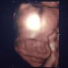 Profile Picture of Sherry Lynn McLaughlin (@@sherrylynnmclaugh2) on Tiktok