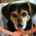 Profile Picture of Bobbie Ritchie (@bobbie.ritchie.161) on Facebook