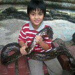 Profile Picture of michael utomo (@michaelutomo) on Instagram