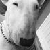 Profile Picture of Peter Rallis (@peter.rallis.75) on Facebook