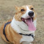 Profile Picture of 미니몬(김민희/담원) (@__miniemon__) on Instagram