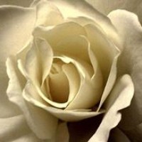 Profile Picture of Supriya Das (@supriya-das-8) on Quora