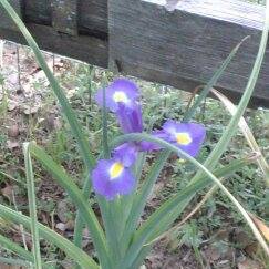 Profile Picture of Becky Howell (@Becky-Howell) on Facebook